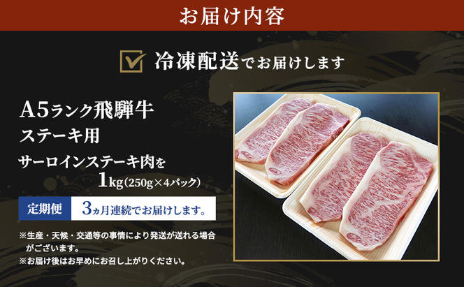 【定期便3ヶ月】牛肉 飛騨牛 サーロイン ステーキ セット 1kg（1枚 約250g×4枚 ） 黒毛和牛 A5 美味しい お肉 牛 肉 和牛 サーロインステーキ 【岐阜県瑞穂市】