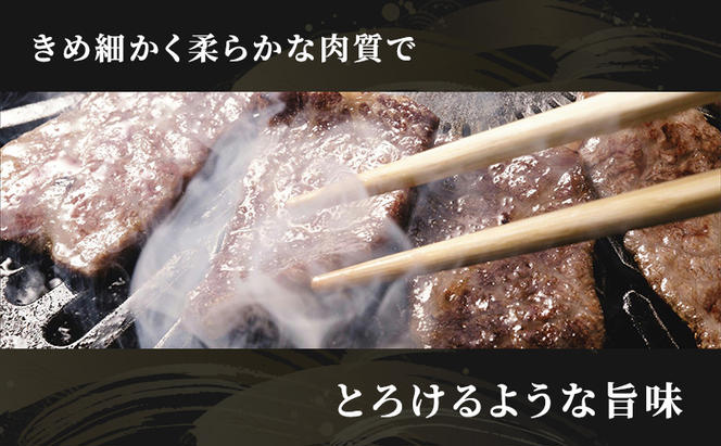 【定期便3ヶ月】牛肉 飛騨牛 焼き肉 セット ロース 又は 肩ロース 300g 黒毛和牛 A5 美味しい お肉 牛 肉 和牛 焼肉 BBQ バーベキュー 【岐阜県瑞穂市】