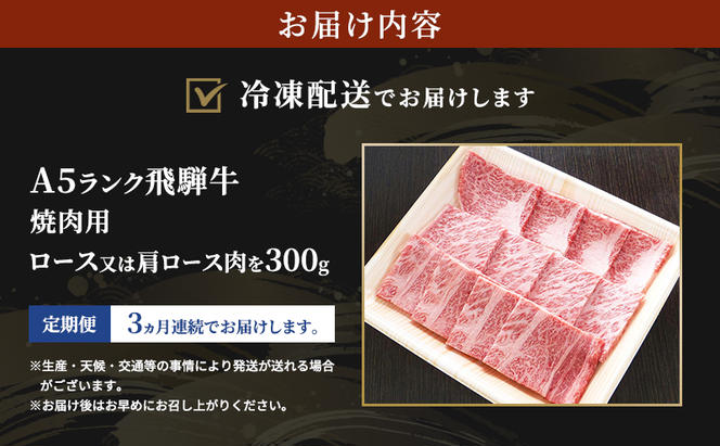 【定期便3ヶ月】牛肉 飛騨牛 焼き肉 セット ロース 又は 肩ロース 300g 黒毛和牛 A5 美味しい お肉 牛 肉 和牛 焼肉 BBQ バーベキュー 【岐阜県瑞穂市】