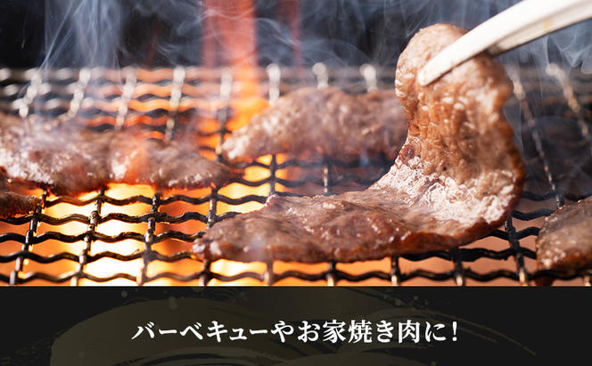 【定期便3ヶ月】牛肉 飛騨牛 焼き肉 セット ロース 又は 肩ロース 300g 黒毛和牛 A5 美味しい お肉 牛 肉 和牛 焼肉 BBQ バーベキュー 【岐阜県瑞穂市】