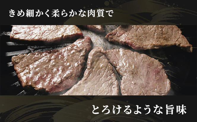 【定期便3ヶ月】牛肉 飛騨牛 焼き肉 セット 赤身 モモ 又は カタ 300g 黒毛和牛 A5 美味しい お肉 牛 肉 和牛 焼肉 BBQ バーベキュー 【岐阜県瑞穂市】