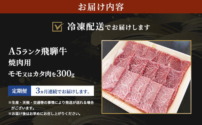 【定期便3ヶ月】牛肉 飛騨牛 焼き肉 セット 赤身 モモ 又は カタ 300g 黒毛和牛 A5 美味しい お肉 牛 肉 和牛 焼肉 BBQ バーベキュー 【岐阜県瑞穂市】