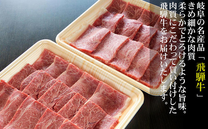 【定期便3ヶ月】牛肉 飛騨牛 焼き肉 セット 赤身 モモ 又は カタ 600g 黒毛和牛 A5 美味しい お肉 牛 肉 和牛 焼肉 BBQ バーベキュー 【岐阜県瑞穂市】