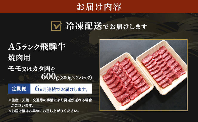 【定期便6ヶ月】牛肉 飛騨牛 焼き肉 セット 赤身 モモ 又は カタ 600g 黒毛和牛 A5 美味しい お肉 牛 肉 和牛 焼肉 BBQ バーベキュー 【岐阜県瑞穂市】