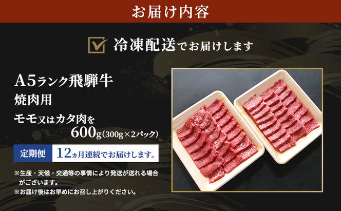 【定期便12ヶ月】牛肉 飛騨牛 焼き肉 セット 赤身 モモ 又は カタ 600g 黒毛和牛 A5 美味しい お肉 牛 肉 和牛 焼肉 BBQ バーベキュー 【岐阜県瑞穂市】