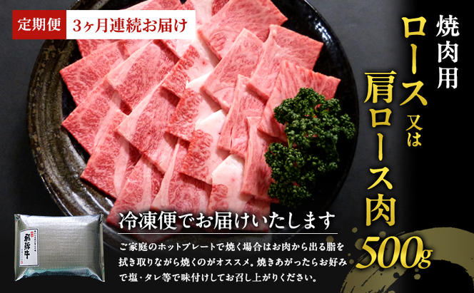 【定期便3ヶ月】牛肉 飛騨牛 焼き肉 セット ロース 又は 肩ロース 500g 黒毛和牛 Ａ5 美味しい お肉 牛 肉 和牛 焼肉 BBQ バーベキュー 【岐阜県瑞穂市】