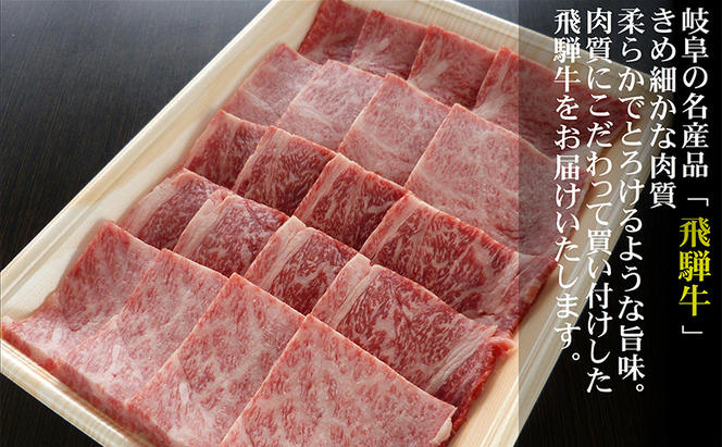 【定期便6ヶ月】牛肉 飛騨牛 焼き肉 セット ロース 又は 肩ロース 500g 黒毛和牛 Ａ5 美味しい お肉 牛 肉 和牛 焼肉 BBQ バーベキュー 【岐阜県瑞穂市】