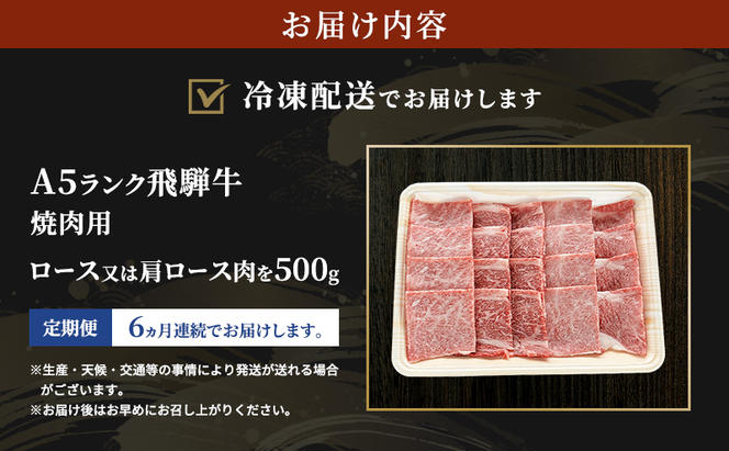 【定期便6ヶ月】牛肉 飛騨牛 焼き肉 セット ロース 又は 肩ロース 500g 黒毛和牛 Ａ5 美味しい お肉 牛 肉 和牛 焼肉 BBQ バーベキュー 【岐阜県瑞穂市】