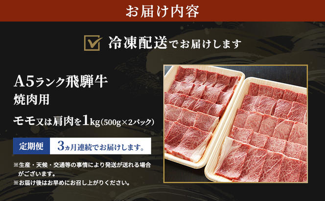 【定期便3ヶ月】牛肉 飛騨牛 焼き肉 セット 赤身 モモ 又は カタ 1kg 黒毛和牛 Ａ5 美味しい お肉 牛 肉 和牛 焼肉 BBQ バーベキュー 【岐阜県瑞穂市】