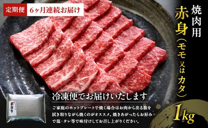 【定期便6ヶ月】牛肉 飛騨牛 焼き肉 セット 赤身 モモ 又は カタ 1kg 黒毛和牛 Ａ5 美味しい お肉 牛 肉 和牛 焼肉 BBQ バーベキュー 【岐阜県瑞穂市】