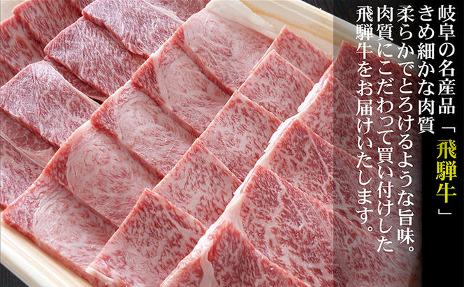 【定期便3ヶ月】牛肉 飛騨牛 焼き肉 セット 赤身 モモ 又は カタ 500g 黒毛和牛 Ａ5 美味しい お肉 牛 肉 和牛 焼肉 BBQ バーベキュー 【岐阜県瑞穂市】