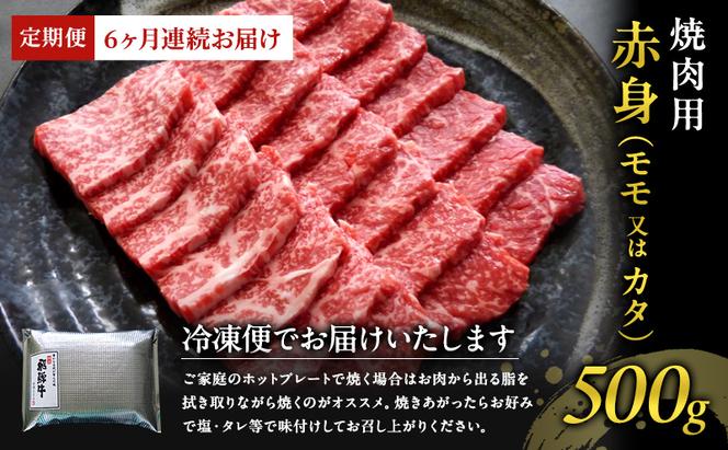 【定期便6ヶ月】牛肉 飛騨牛 焼き肉 セット 赤身 モモ 又は カタ 500g 黒毛和牛 Ａ5 美味しい お肉 牛 肉 和牛 焼肉 BBQ バーベキュー 【岐阜県瑞穂市】