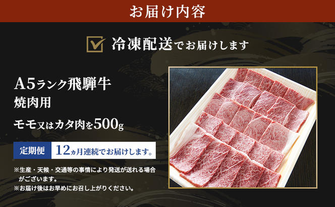 【定期便12ヶ月】牛肉 飛騨牛 焼き肉 セット 赤身 モモ 又は カタ 500g 黒毛和牛 Ａ5 美味しい お肉 牛 肉 和牛 焼肉 BBQ バーベキュー 【岐阜県瑞穂市】