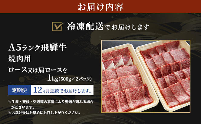 【定期便12ヶ月】牛肉 飛騨牛 焼き肉 セット ロース 又は 肩ロース 1kg 黒毛和牛 Ａ5 美味しい お肉 牛 肉 和牛 焼肉 BBQ バーベキュー 【岐阜県瑞穂市】