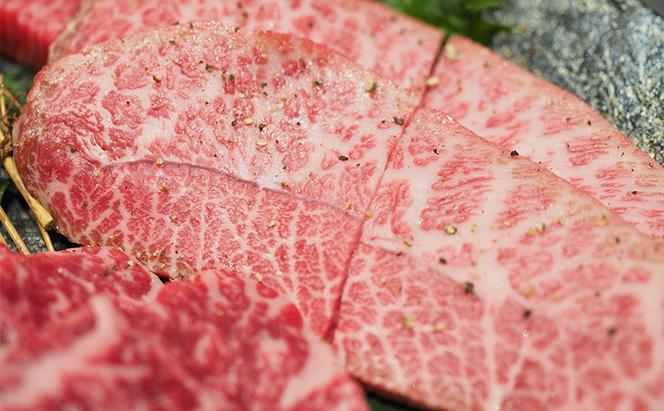 牛肉 厳選 希少部位 A4～A5 くまもと 黒毛和牛 ミスジ ステーキ 約500g (100g×5p) 肉 お肉 ※配送不可：離島