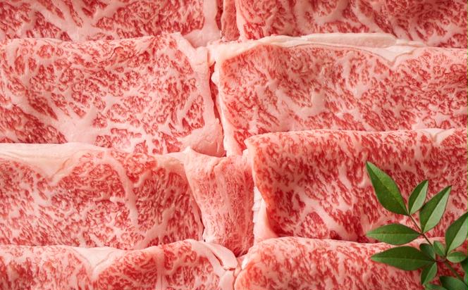 牛肉 A4～A5 くまもと 黒毛和牛 しゃぶしゃぶ すき焼き ( 肩ロース肉・肩バラ肉・モモ肉 ) 500g 肉 お肉 ※配送不可：離島