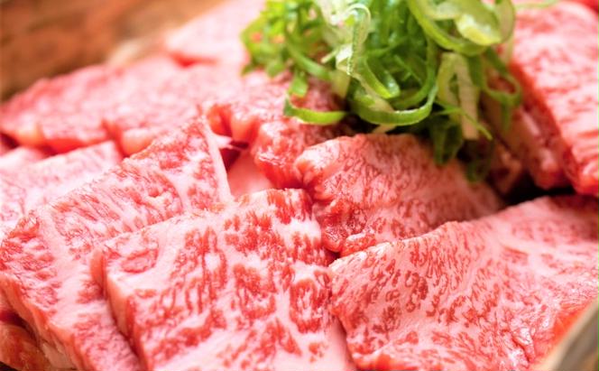 牛肉 A4～A5 くまもと 黒毛和牛 焼肉 500g 焼き肉 肉 お肉 ※配送不可：離島