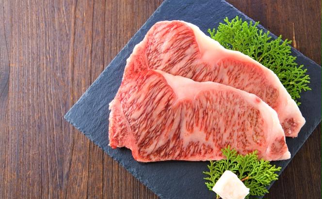 牛肉 A4～A5 くまもと 黒毛和牛 サーロイン ステーキ セット 500g (250g×2枚) 肉 お肉 ※配送不可：離島