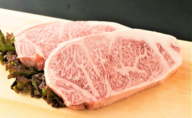 牛肉 A4～A5 くまもと 黒毛和牛 サーロイン ステーキ セット 500g (250g×2枚) 肉 お肉 ※配送不可：離島