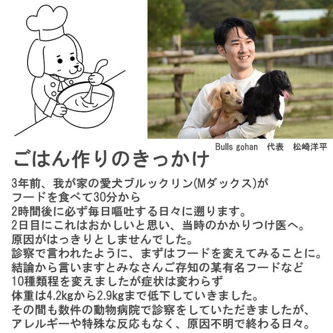 GC003_国産・保存料無添加のドッグフード・おダシ香る鶏ごはん【10個パック】