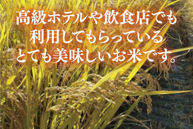 【2024年10月中旬発送開始】【特別栽培米】令和6年度産　立神米姫ごのみ（玄米）5kg 茨城県 大子町 米 新米（BT034）