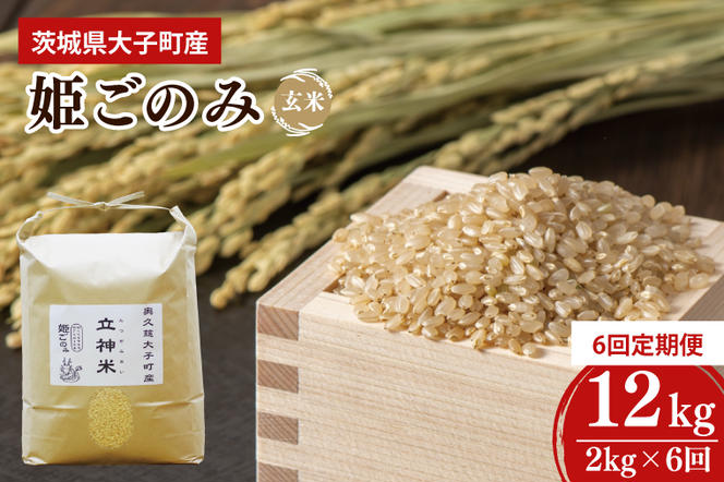 【6ヶ月定期便】【2024年11月発送開始】【特別栽培米】令和6年度産 立神米姫ごのみ（玄米）定期便 2kg 6回お届け 茨城県 大子町 米 新米（BT038）