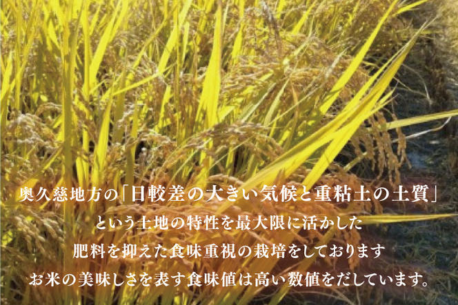 【3ヶ月定期便】【特別栽培米】令和6年度産 立神米こしひかり（玄米）定期便 2kg 3回お届け 茨城県 大子町 コシヒカリ 米 コンテスト 受賞  生産者 大子産米（BT010）