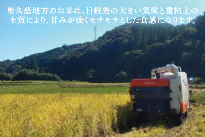 【6ヶ月定期便】【特別栽培米】令和6年度産 立神米こしひかり（白米）定期便 2kg 6回お届け 茨城県 大子町 コシヒカリ 米 コンテスト 受賞  生産者 大子産米（BT019）