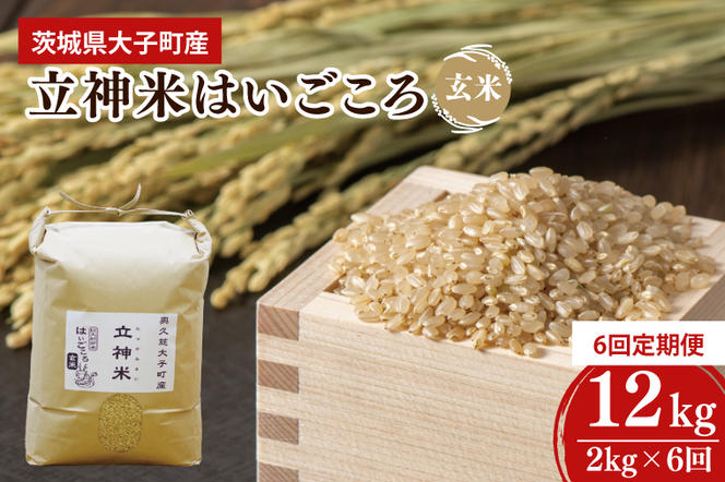 【6ヶ月定期便】【2024年11月発送開始】【特別栽培米】令和6年度産　立神米はいごころ(玄米) 定期便 2kg 6回お届け 茨城県 大子町 米 新米（BT027）