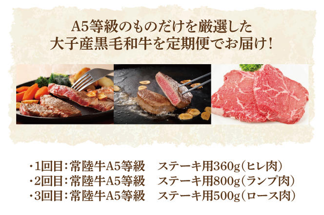 【3ヶ月定期便】常陸牛A5等級　ステーキ用（ヒレ肉・ランプ肉・ロース肉）（AC019）