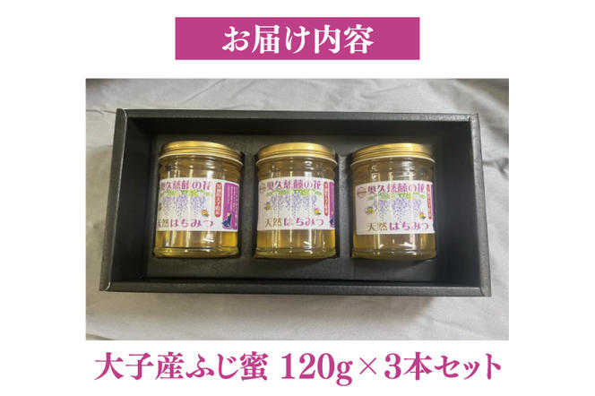 天然はちみつ【大子のふじ蜜 120g×3本セット】 ハニー 大子産 国産 ハチミツ（BG002）