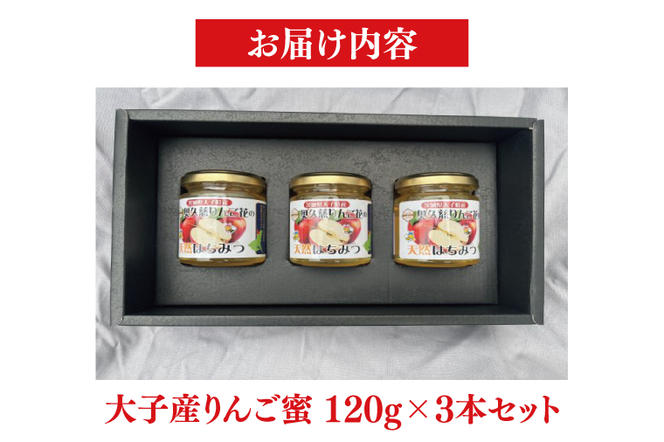 【先行予約】天然はちみつ【大子のりんご蜜 120g×3本セット】 ハニー 大子産 国産 ハチミツ(BG003)