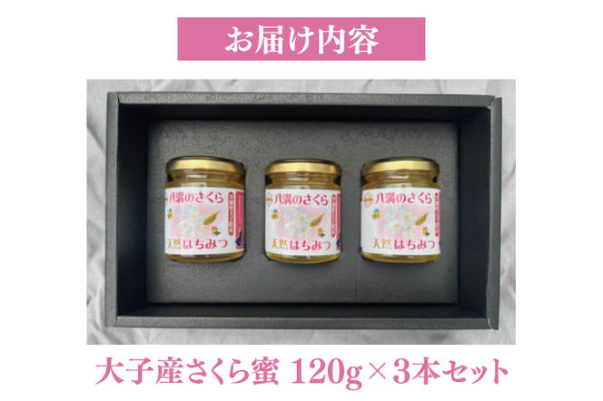 【先行予約】天然はちみつ【大子のさくら蜜 120g×3本セット】 ハニー 大子産 国産 ハチミツ(BG004)