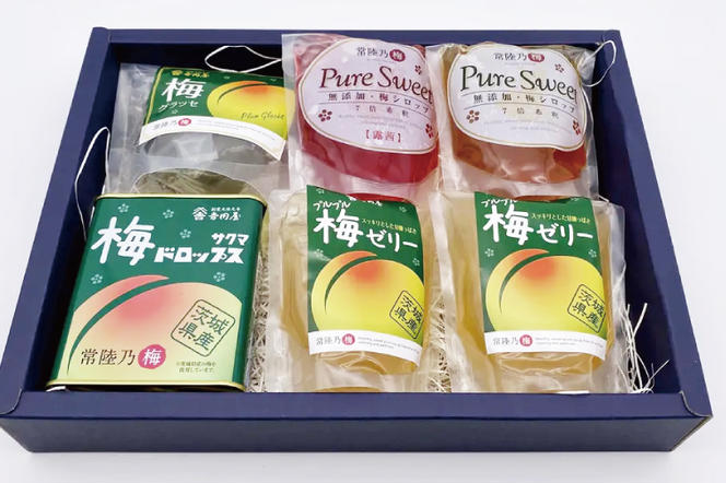 梅シロップ詰合「奏」 昔ながら 老舗 伝統 国産 大洗 大洗町 梅干し 梅干 梅 うめぼし うめ