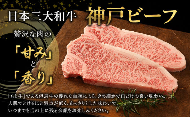 神戸牛 ヒレ肉 1本（約2.5kg） キャンプ BBQ アウトドア ホームパーティー ローストビーフ 神戸ビーフ