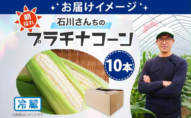 北海道 月形町産 石川さんちの プラチナコーン 10本 白い とうもろこし コーン ホワイト 野菜 夏野菜 旬 生 完熟 甘い ジューシー 採れたて 新鮮 朝採れ お取り寄せ 産地直送 エーコープつきがた 送料無料