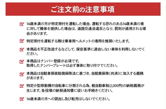 【特定小型原付モデル】公道走行が可能な電動キックボード KS6 PRO【ハセガワモビリティ×YADEA】（550-3）