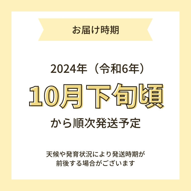 【令和6年産新米予約】超神ネイガー米【無洗米】あきたこまち8kg（4kg×2）