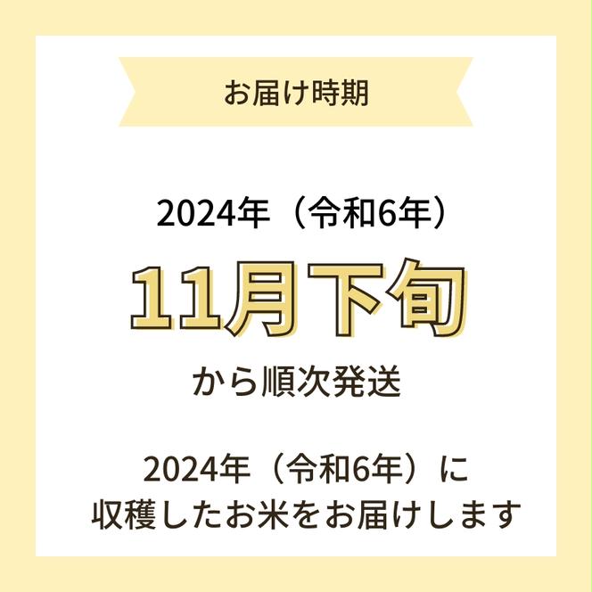 【令和6年産新米予約】<10ヵ月定期便>【無洗米】特別栽培米あきたこまち5kg×10回 合計50kg