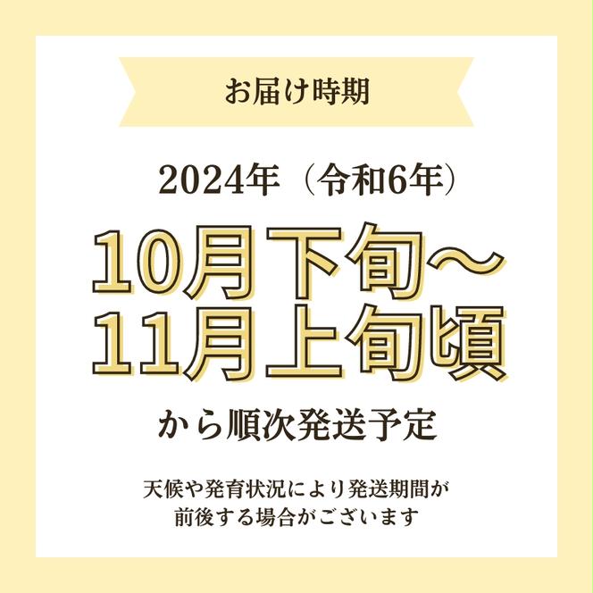 【令和6年産新米予約】【無洗米】特別栽培米サキホコレ4kg（2kg×2）