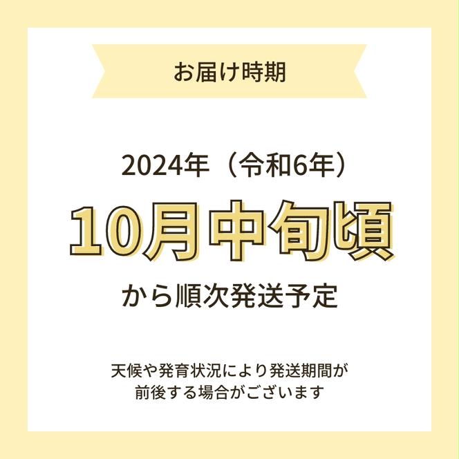 【令和6年産新米予約】栽培期間中 農薬・化学肥料不使用【無洗米】特別栽培米ササニシキ2kg×1