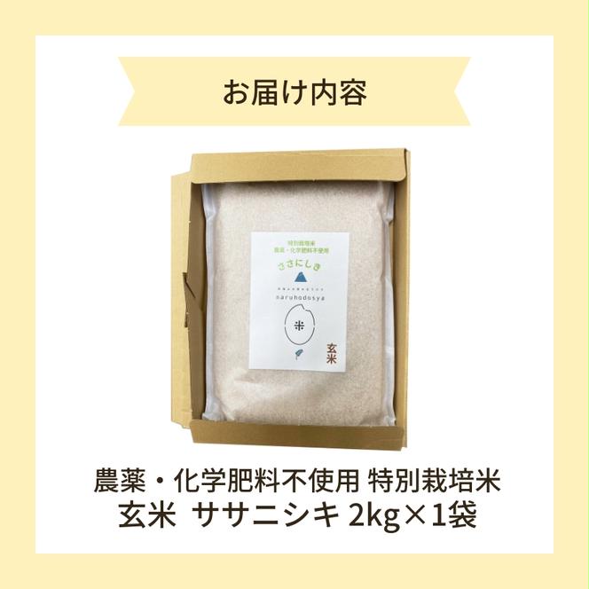 【令和6年産新米予約】栽培期間中 農薬・化学肥料不使用【玄米】特別栽培米ササニシキ2kg×1