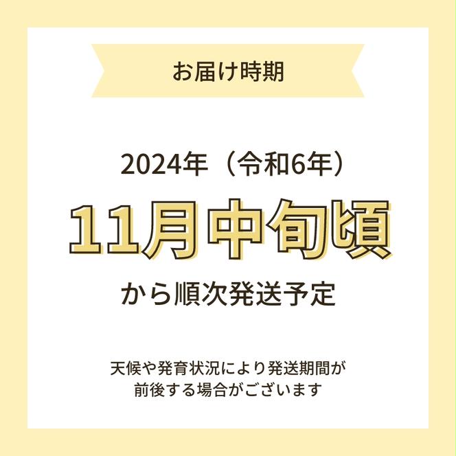 【令和6年産新米予約】栽培期間中 農薬・化学肥料不使用【玄米】特別栽培米ササニシキ2kg×1