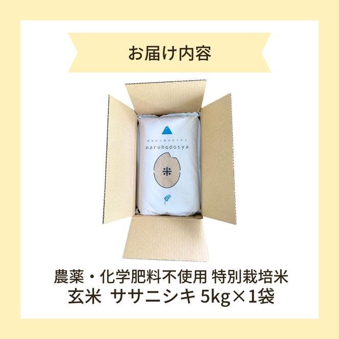 【令和6年産新米予約】栽培期間中 農薬・化学肥料不使用 【玄米】 特別栽培米ササニシキ5kg×1