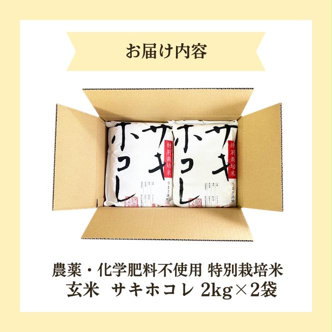 【令和6年産新米予約】栽培期間中 農薬・化学肥料不使用【玄米】特別栽培米サキホコレ4kg（2kg×2）