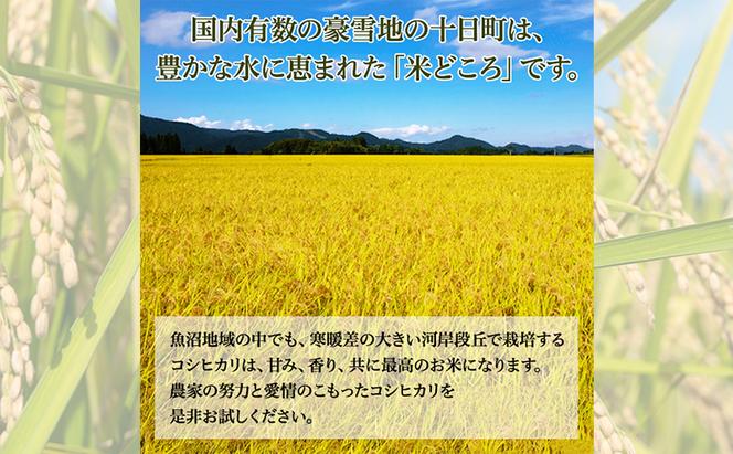 米 2024年産　十日町産こしひかり　精米5kg コシヒカリ コメ 十日町市