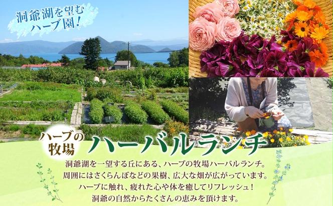 北海道 摘みたて ハーブティー 作り 体験 ハーブ ティー お茶 紅茶 フレッシュ オリジナル  ハーブ畑 天然  リラックス 癒し リラクゼーション 健康 ハーバルランチ 送料無料 洞爺湖