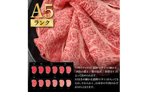 土佐和牛 特選クラシタロース スライス Ｗパック900g 牛肉 肉 お肉 和牛 国産 牛 肩ロース A5 最高級 特選 霜降り 国産 豪華 贅沢 美味しい おいしい 柔らかい 肉汁