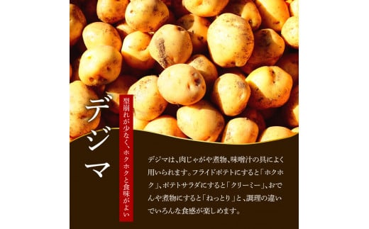 【四国一小さなまちのじゃがいも】★令和6年11月中旬発送開始★ 大野台地で採れた『 令和6年産 秋じゃが 』 10kg