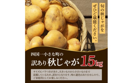 【四国一小さなまちのじゃがいも】★令和6年11月中旬発送開始★ 大野台地で採れた『 令和6年産 秋じゃが 』 15kg　～ 訳あり ～